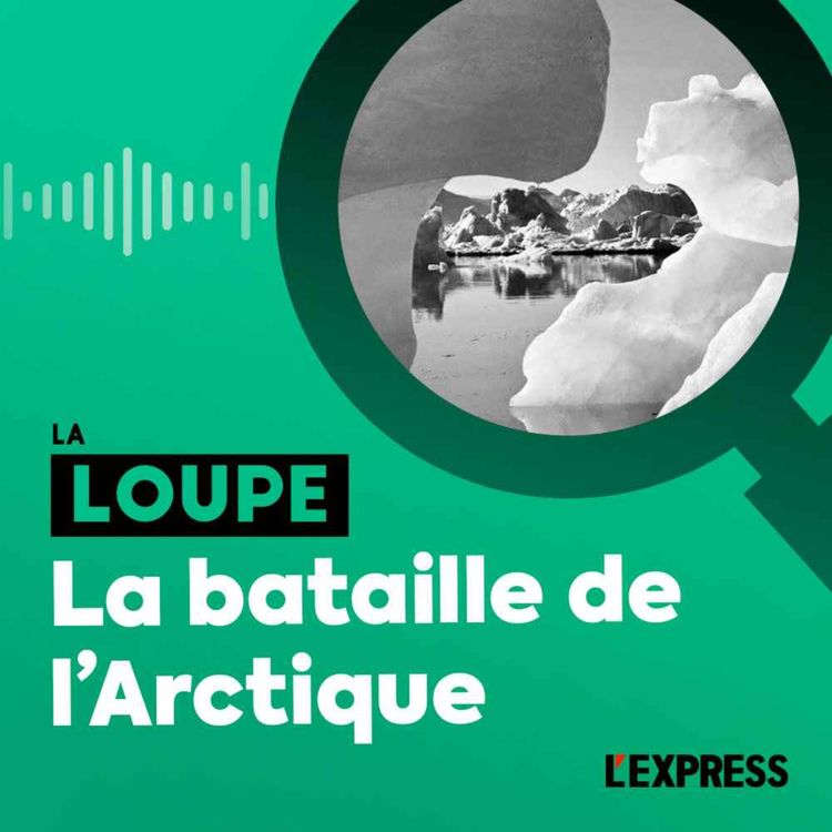 cover art for La bataille de l'Arctique