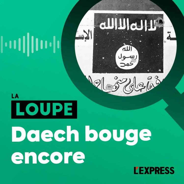 cover art for Daech bouge encore