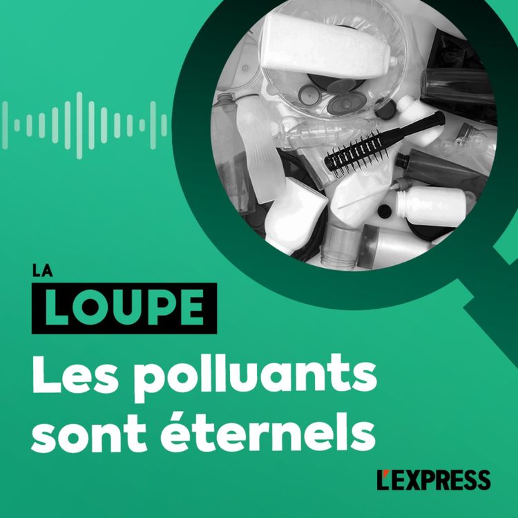 cover art for Les polluants sont éternels