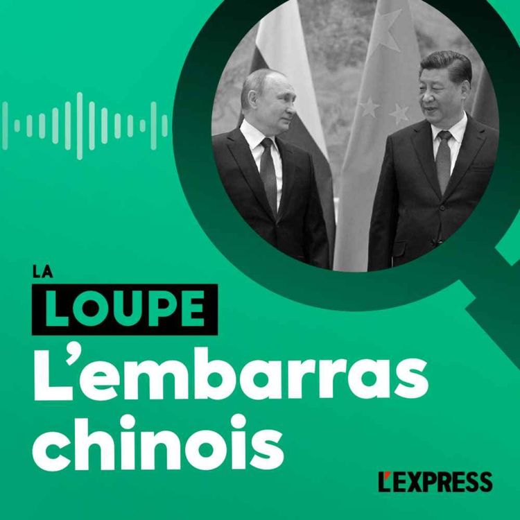 cover art for L'embarras chinois