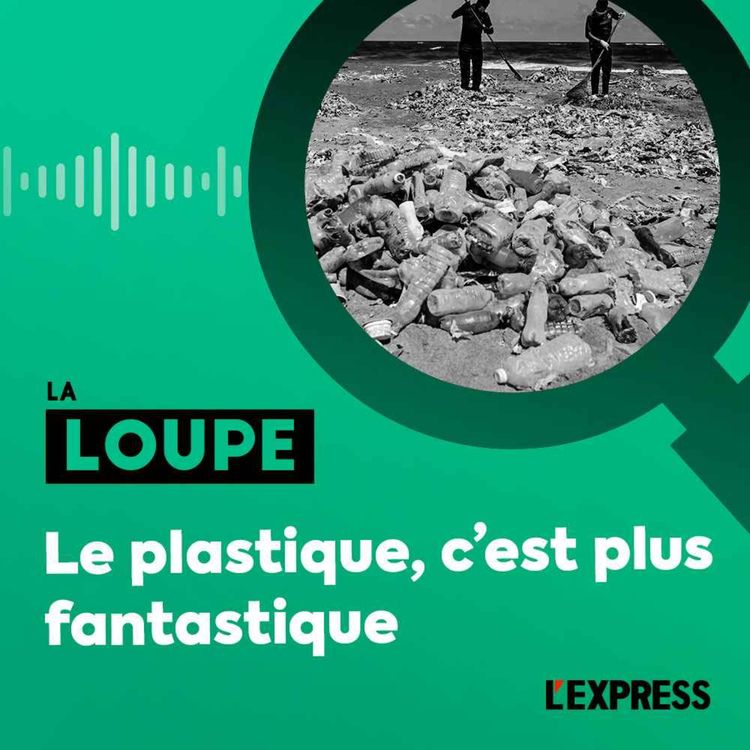 cover art for Le plastique, c'est plus fantastique