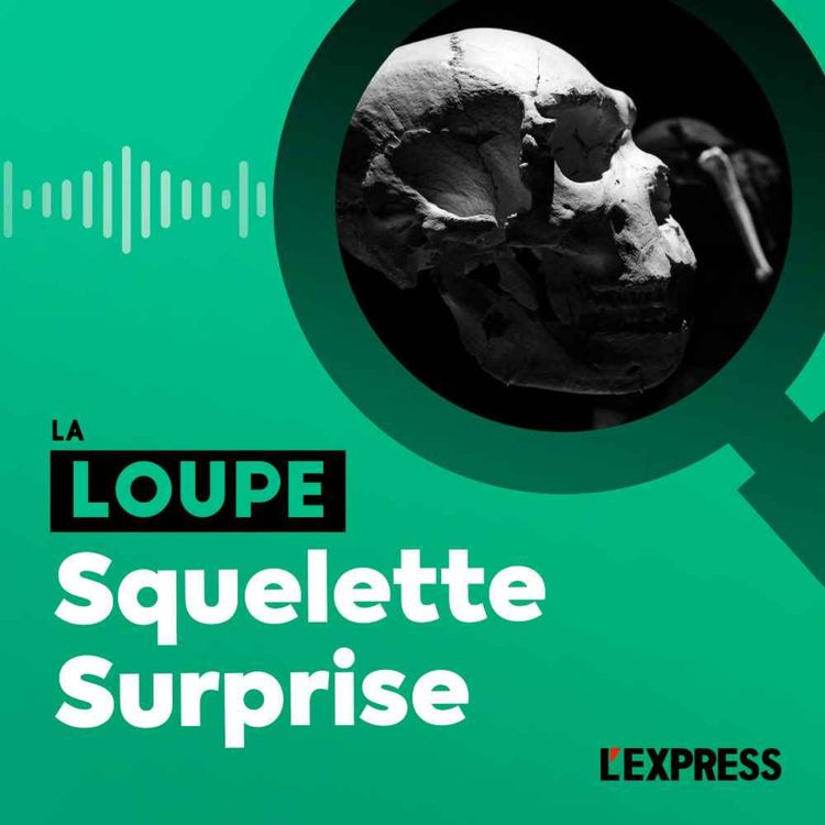 cover art for Squelette surprise (rediffusion)