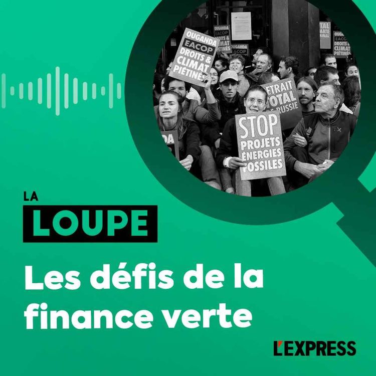 cover art for Les défis de la finance verte