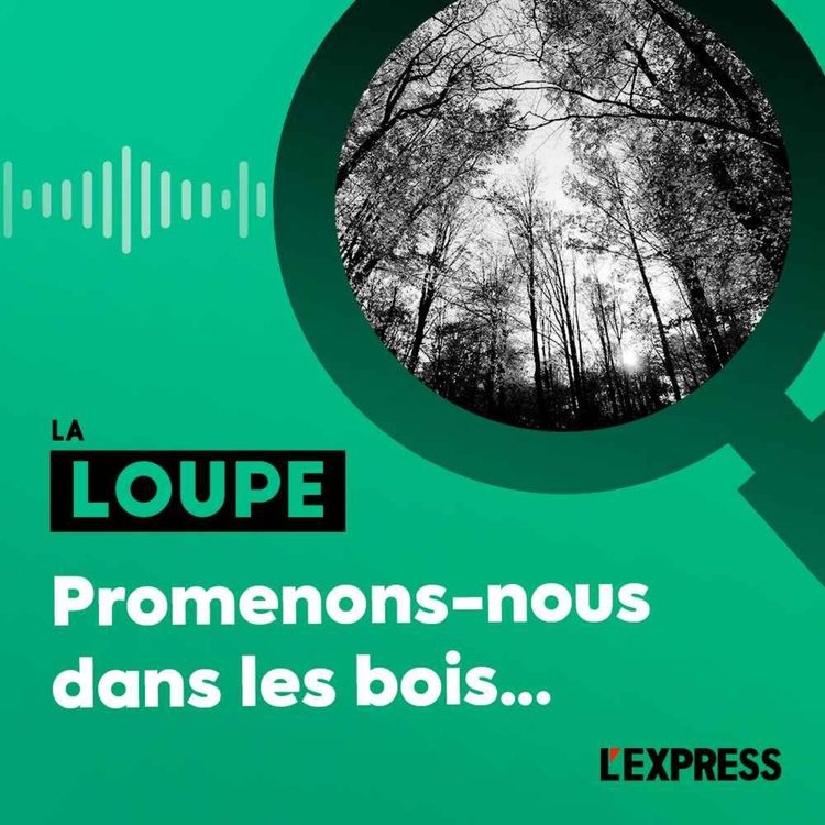 cover art for Promenons-nous dans les bois... (rediffusion)