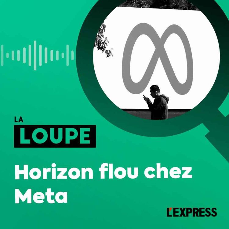 cover art for Horizon flou chez Meta