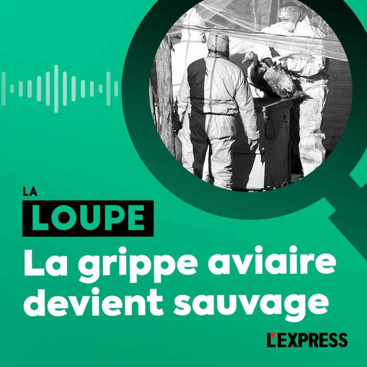 cover art for La grippe aviaire devient sauvage