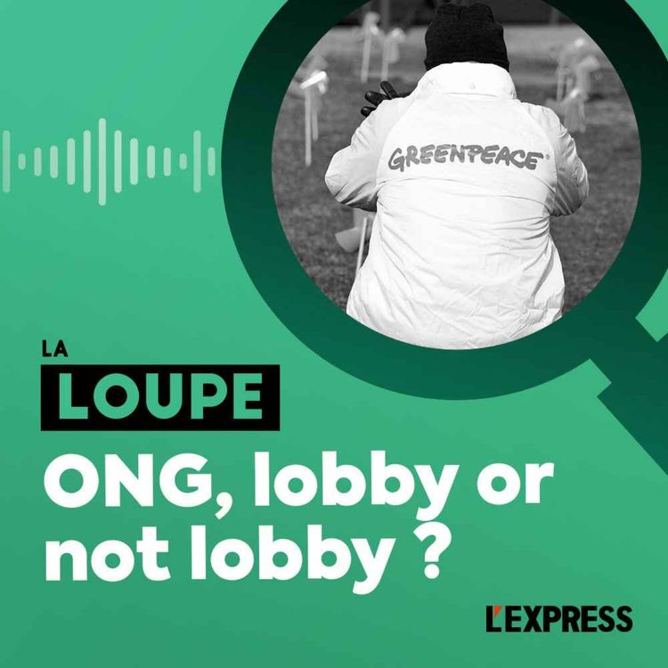 cover art for ONG, lobby or not lobby ?