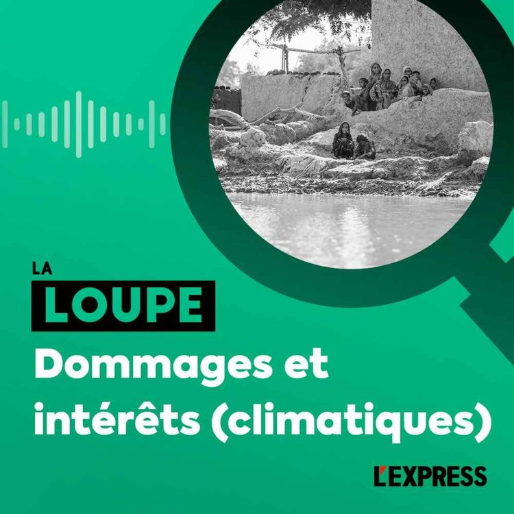 cover art for Dommages et intérêts (climatiques)