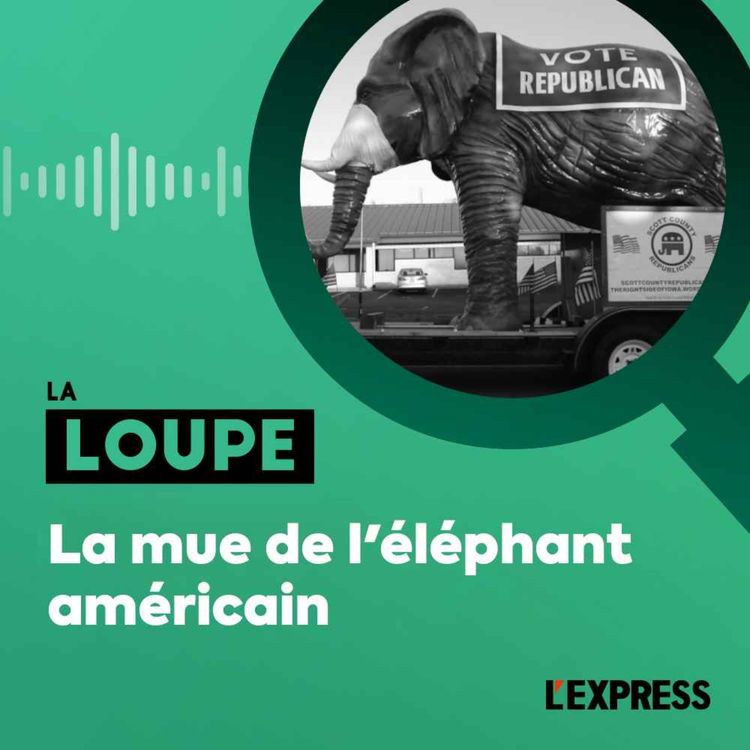 cover art for La mue de l'éléphant américain