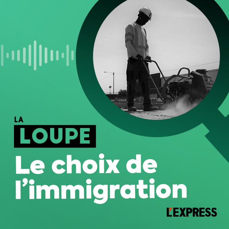 cover art for Le choix de l'immigration
