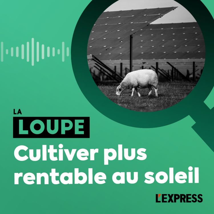 cover art for Cultiver plus rentable au soleil