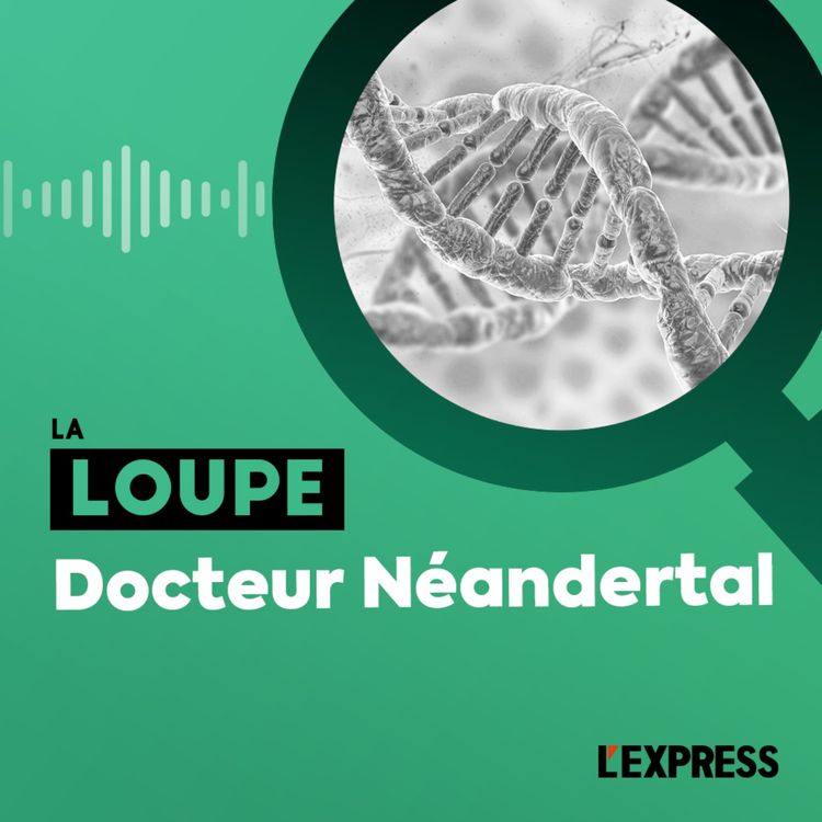 cover art for Docteur Néandertal