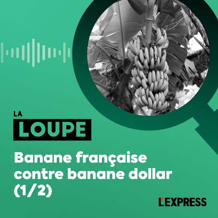 cover art for Banane française contre banane dollar (1/2)