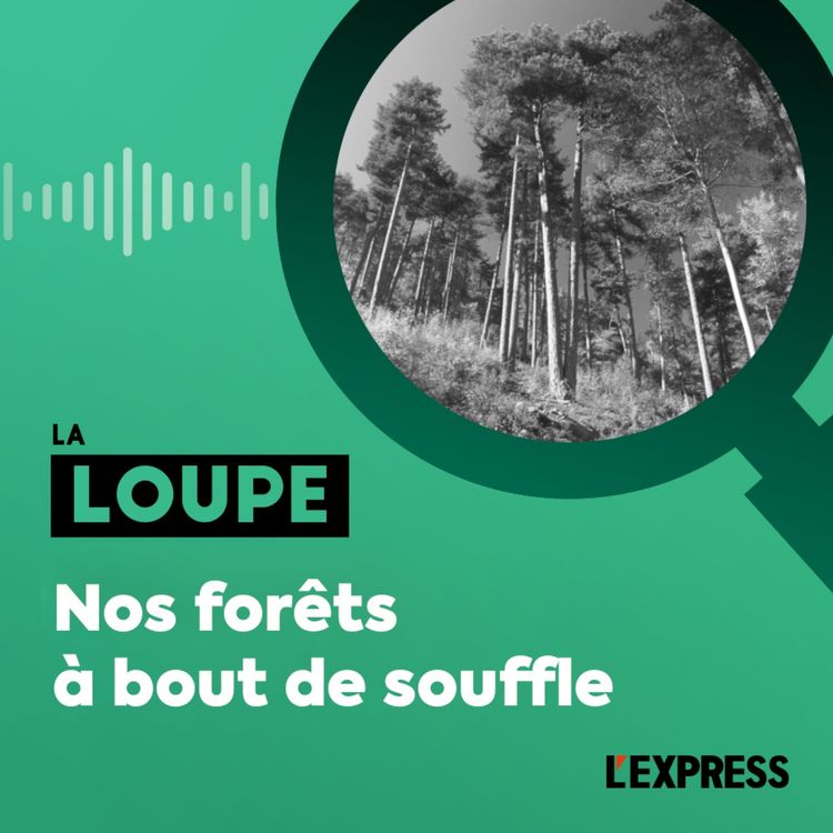 cover art for Nos forêts à bout de souffle