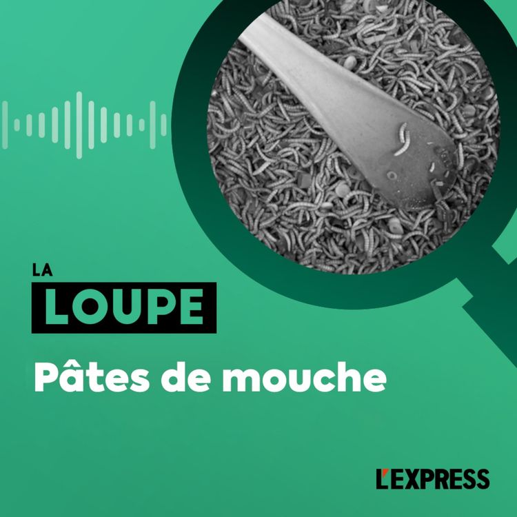cover art for Pâtes de mouches (rediffusion)