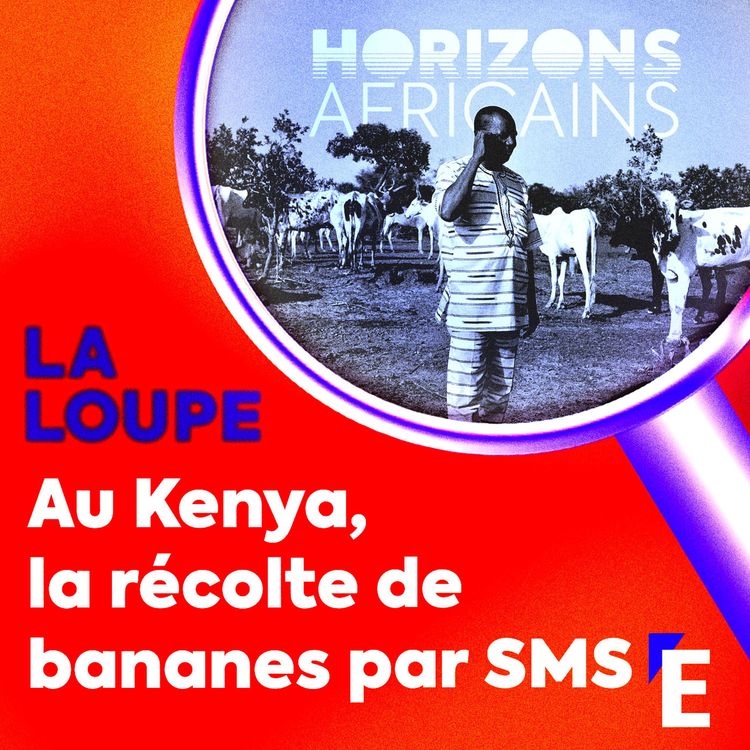 cover art for Au Kenya, la récolte de bananes par SMS