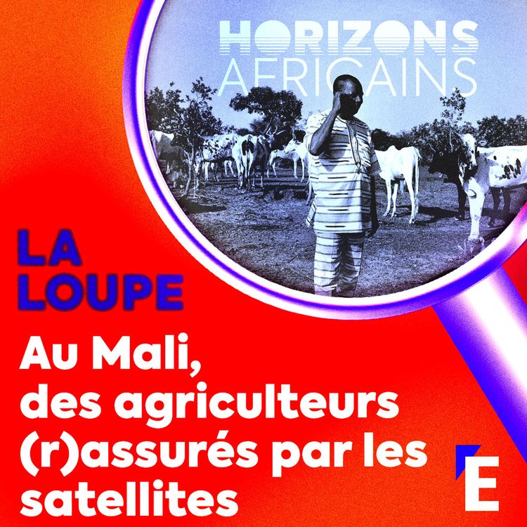 cover art for Au Mali, des agriculteurs (r)assurés par les satellites