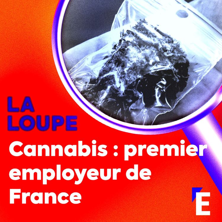 cover art for Le Cannabis : premier employeur de France