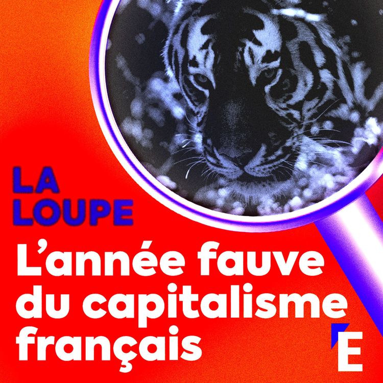 cover art for L'année fauve du capitalisme français