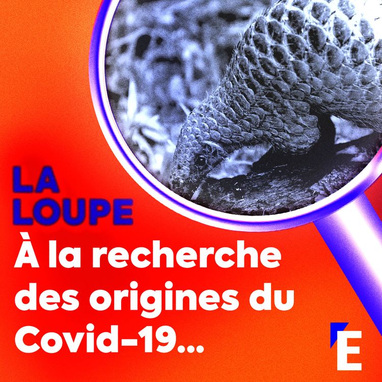 cover art for À la recherche des origines du Covid-19...