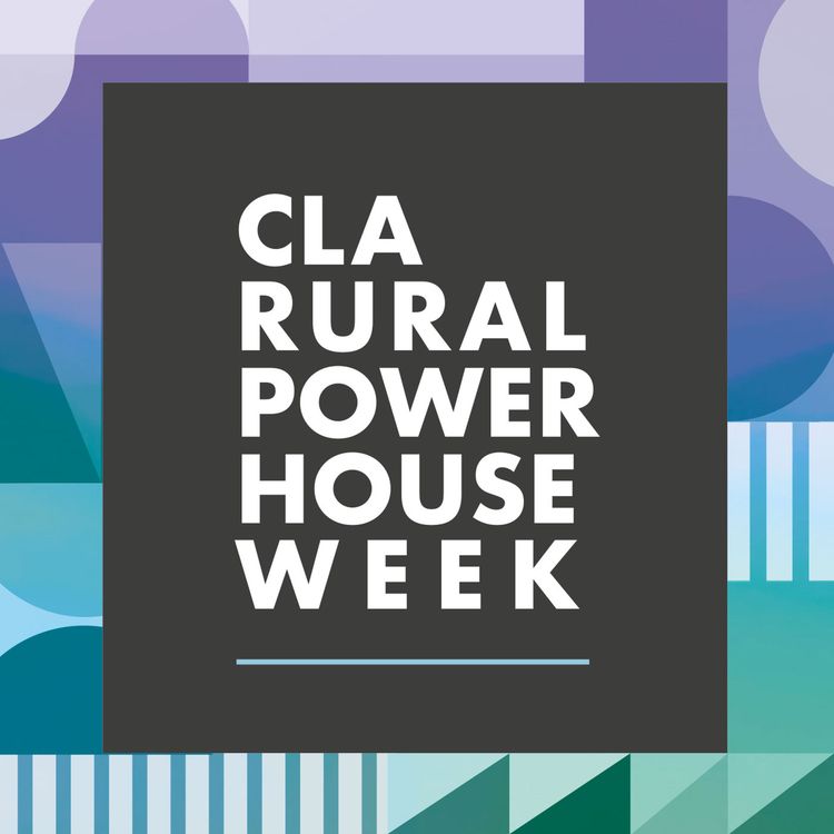 cover art for The Road To Net Zero