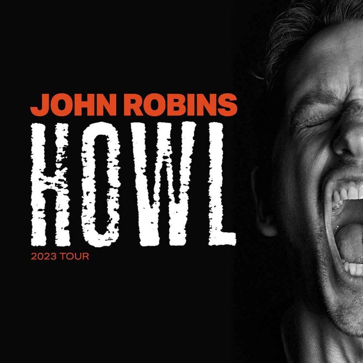 cover art for John Robins