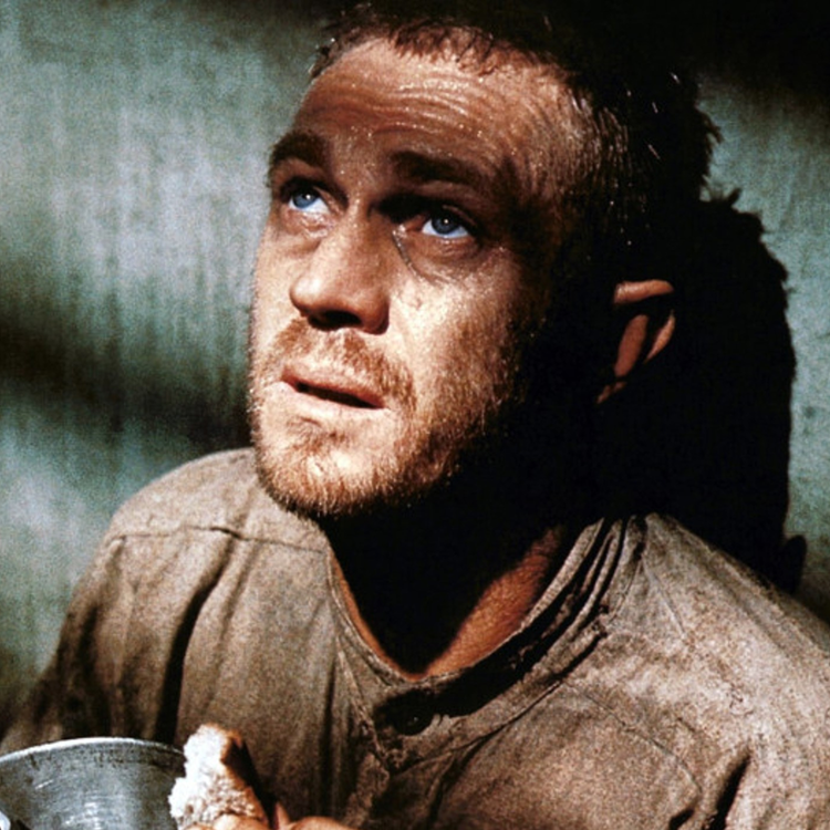 cover art for Papillon