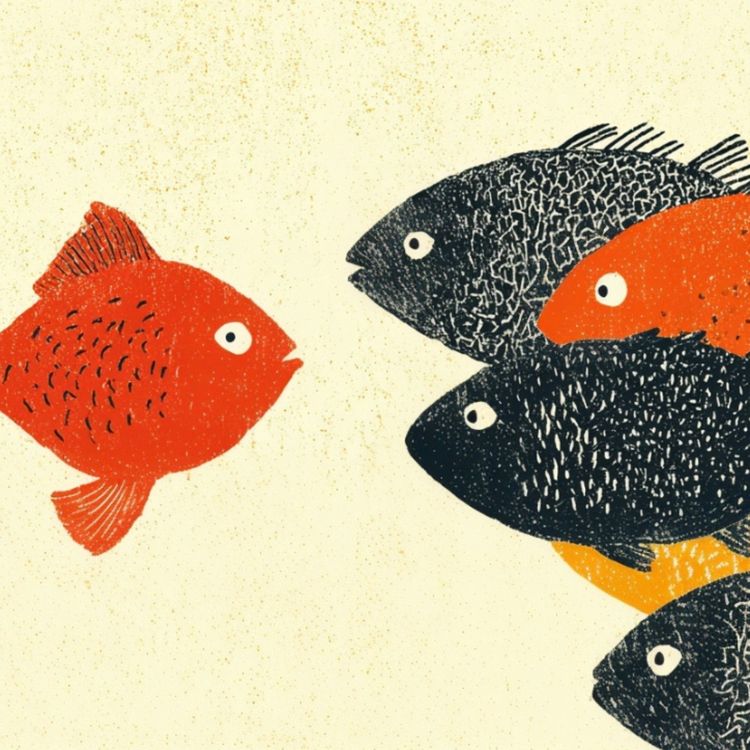 cover art for Strong team identity delivers success