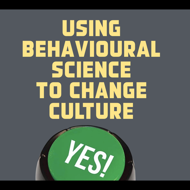 cover art for How painting the walls pink changed a culture