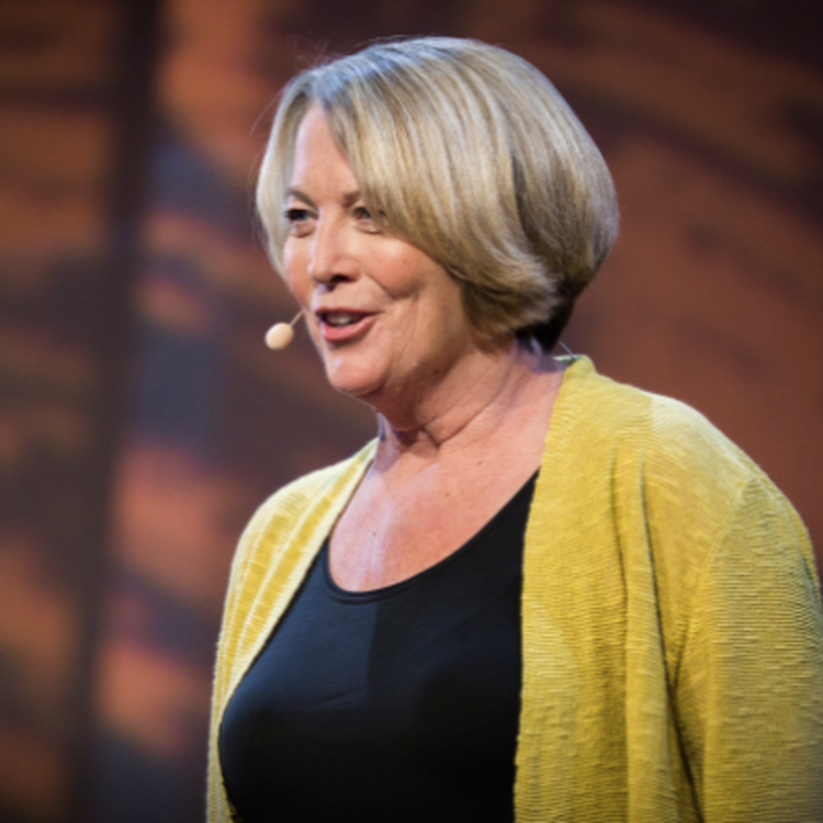 cover art for The Netflix Culture Document "We're Not a Family"