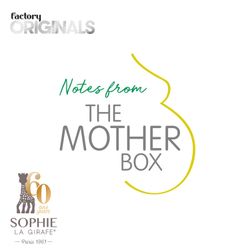 cover art for Notes From The Mother Box