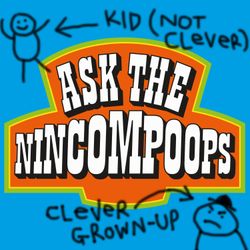 cover art for Ask The Nincompoops