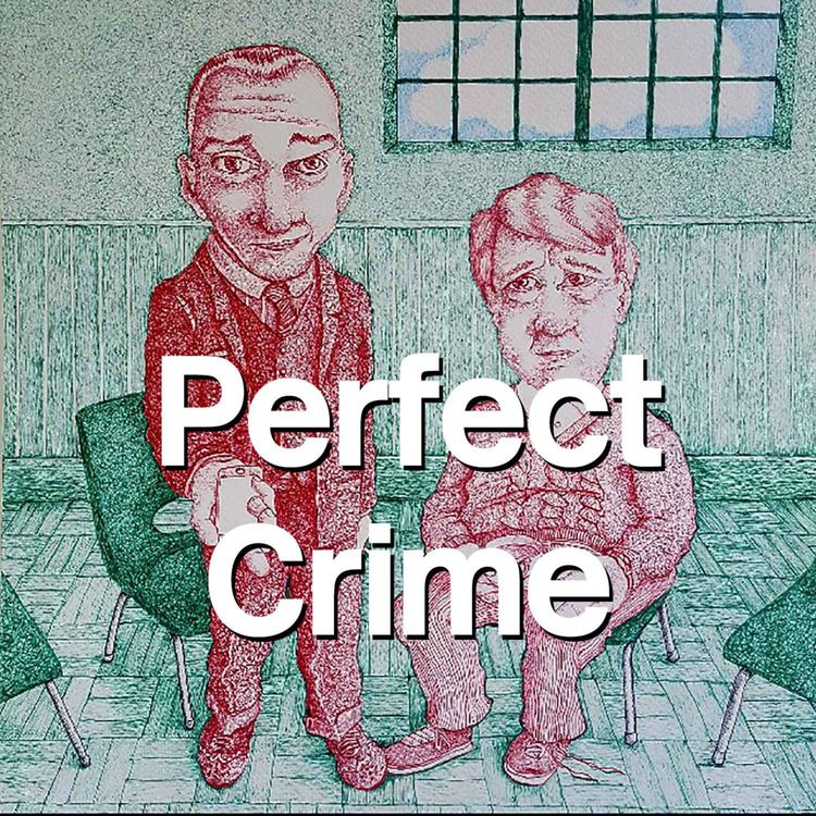 cover art for The Perfect Crime