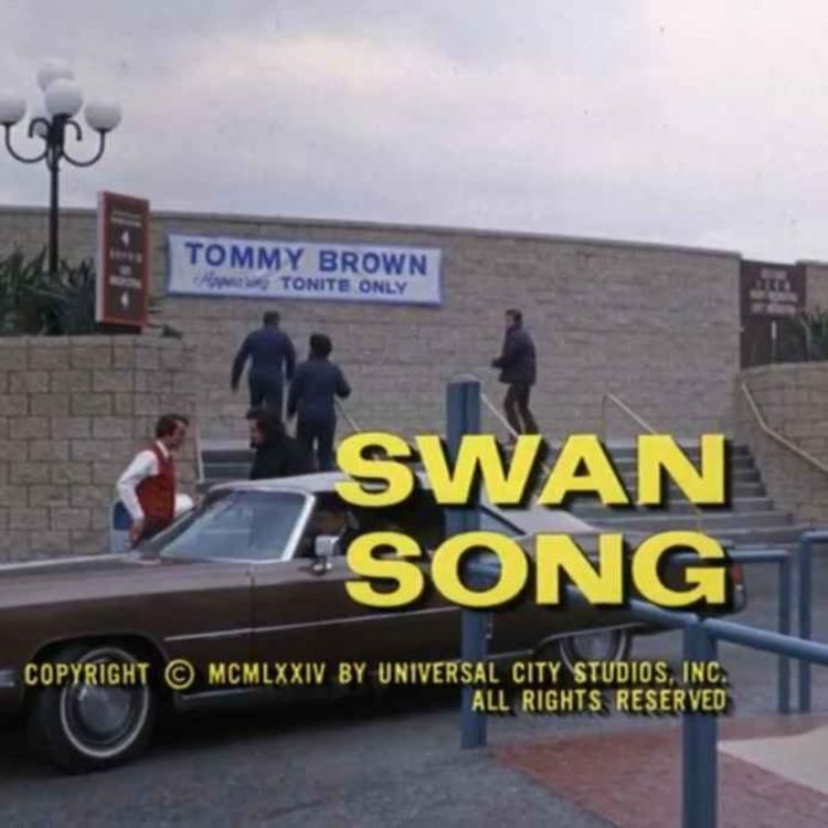 cover art for Swan Song  - with Steve Hall