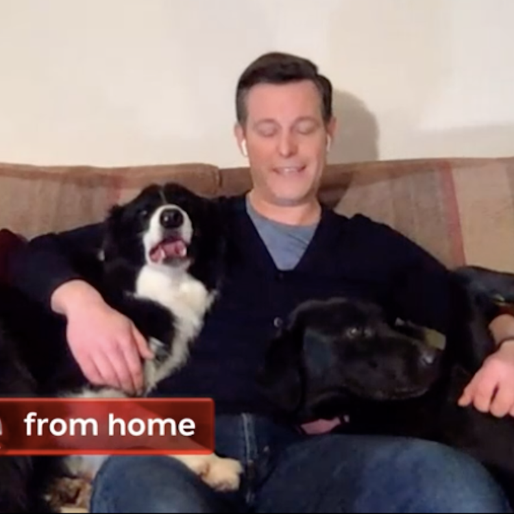 cover art for Episode 5.06 - Futuristic Snood, Open Lotus Red Arrows and Raymond Du Geez