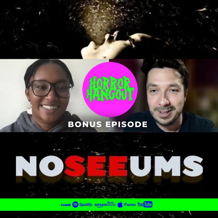 cover art for Horror Hangout Bonus Episode : Interview with Noseeums Director Raven Carter