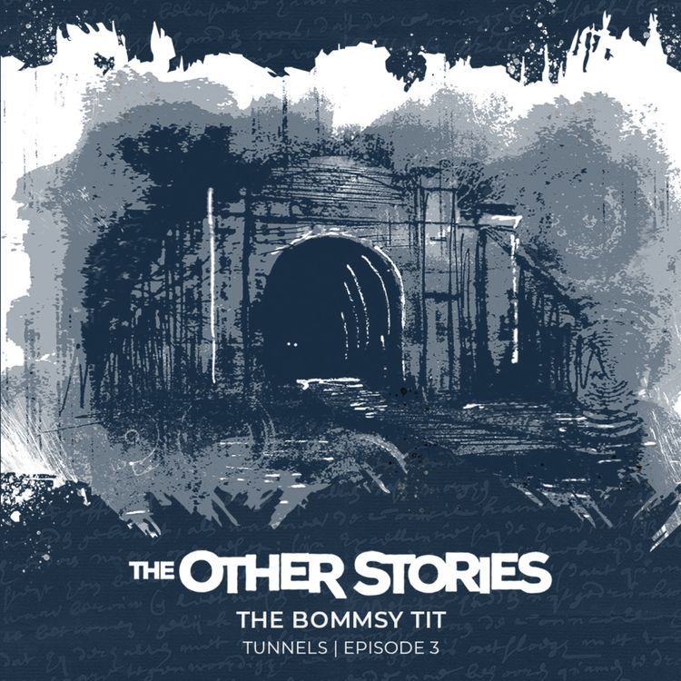 cover art for 87.3 The Bommsy Tit