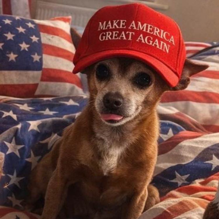 cover art for TUO asks: What didn't Diddy do? 