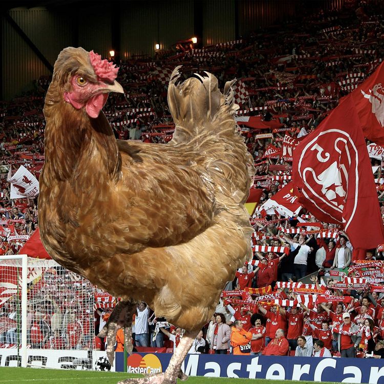 cover art for HOW TO BOTTLE A EUROPEAN ATMOSPHERE AND BEAR SIZED CHICKENS | LIVERPOOL FC PODCAST