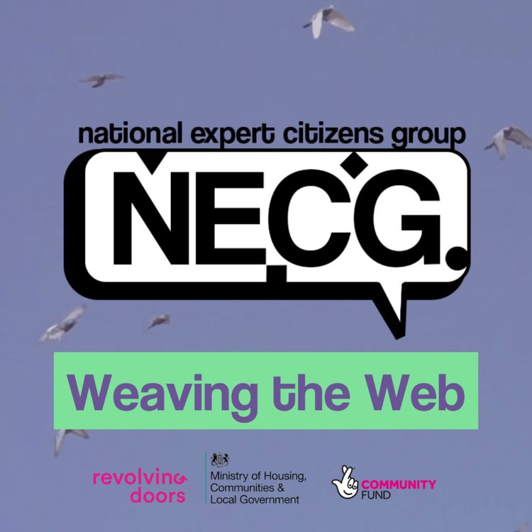 cover art for Weaving the Web Ep. 3: Collaborative commissioning in recovery services