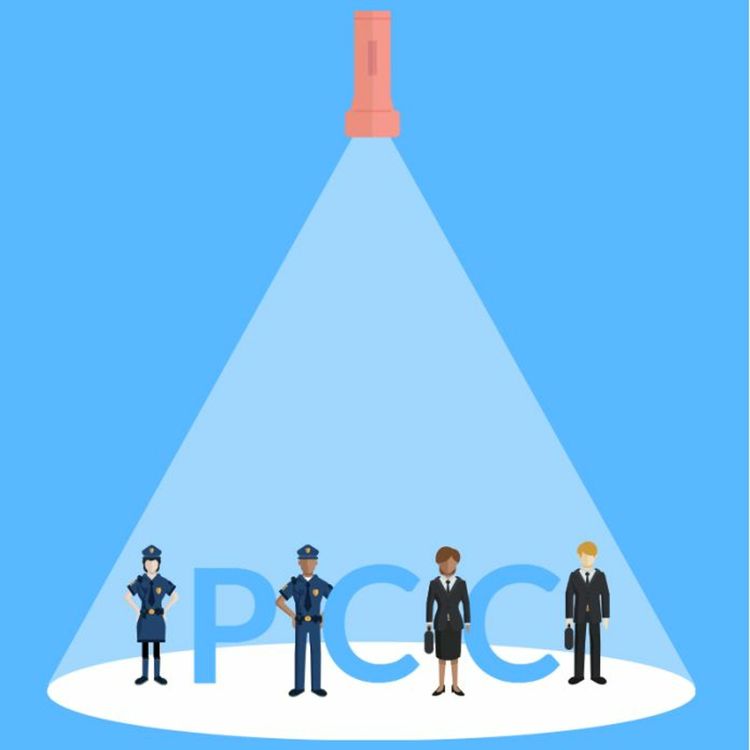 cover art for Spotlight on Police and Crime Commissioners