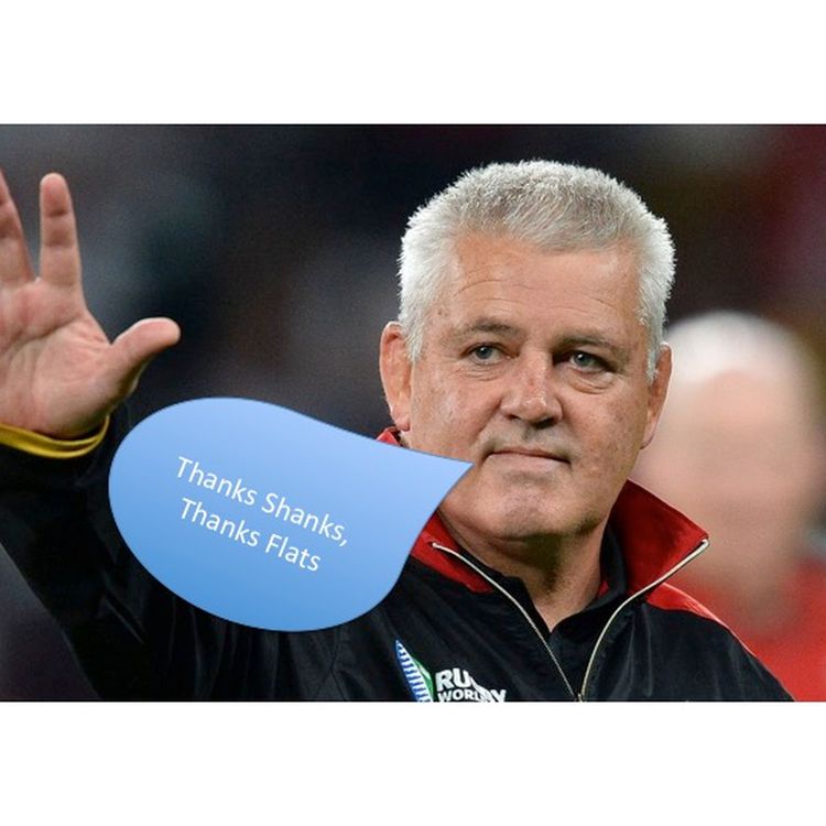 cover art for Episode 24: The Warren Gatland one