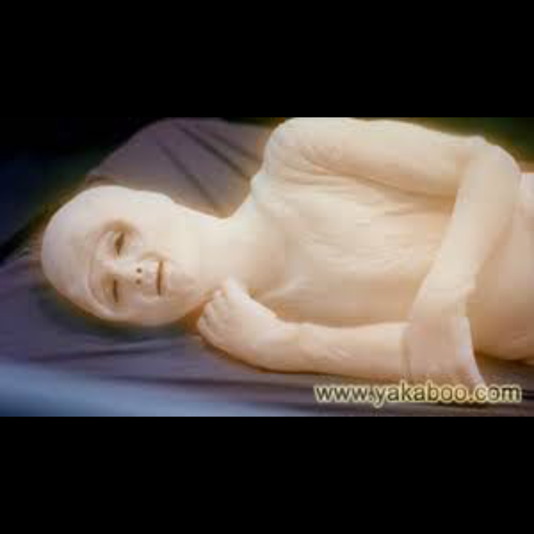 cover art for Episode 22: The one with the picture of Shanks having a lie down.