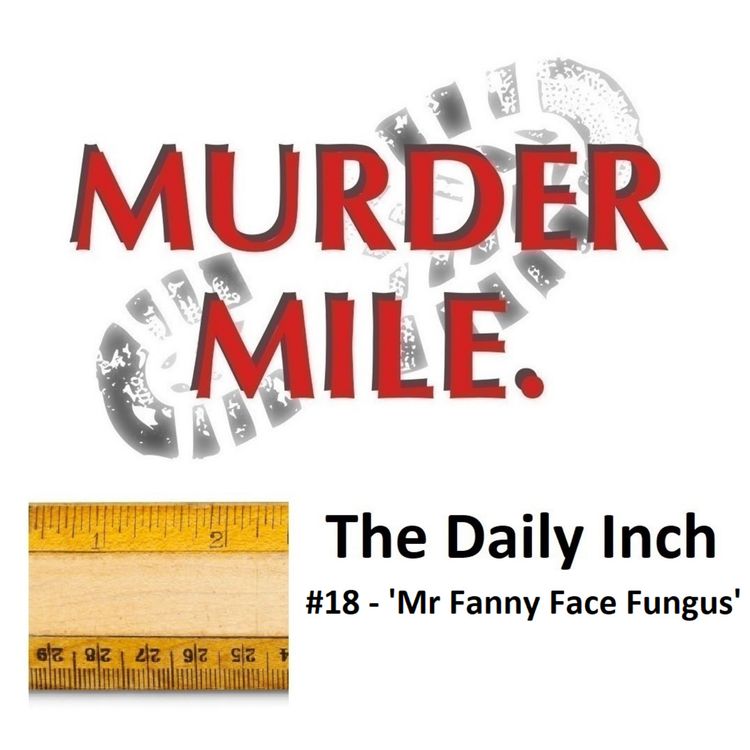 cover art for The Daily Inch #18 - 'Mr Fanny Face-Fungus'