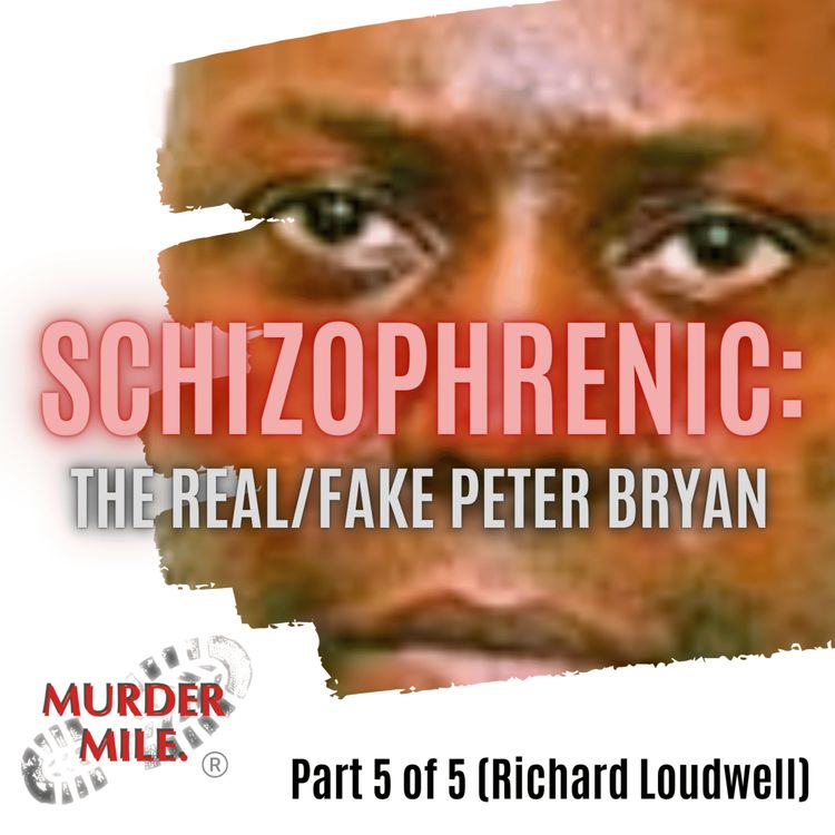 cover art for #302 - Schizophrenic: The Real/Fake Peter Bryan - Part Five (Richard Loudwell)