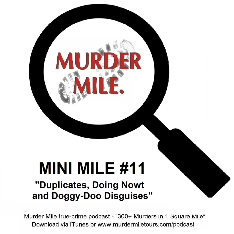cover art for Mini Mile #11 - Duplicates, Doing Nowt and Doggy-Doo Disguises