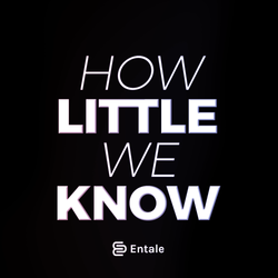 cover art for How Little We Know
