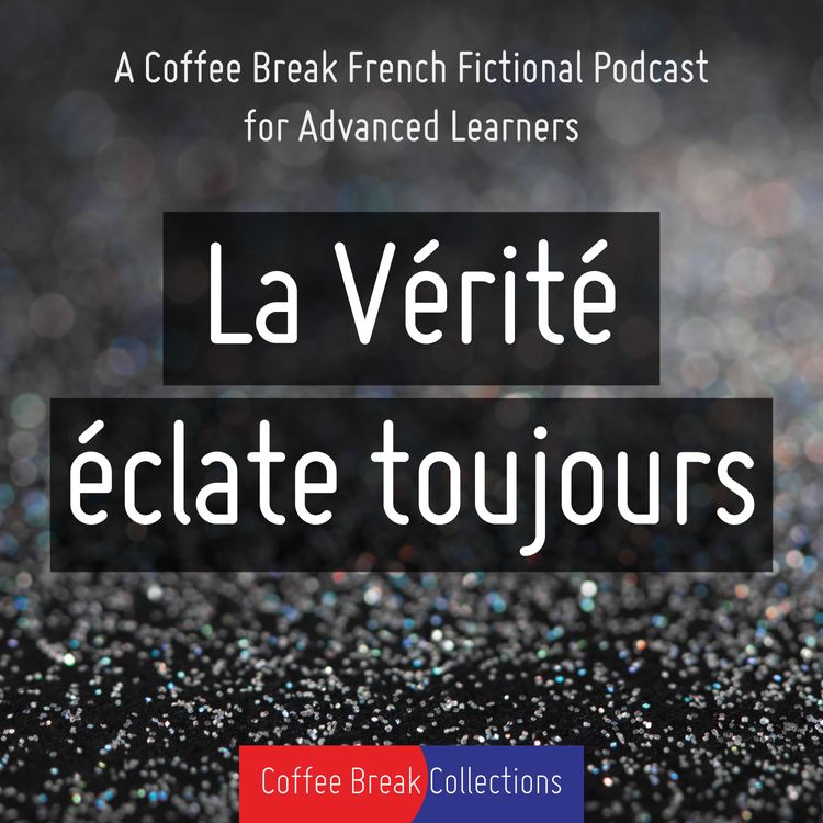 cover art for Chapitre 20 - Un autre morceau du puzzle venait d'être trouvé