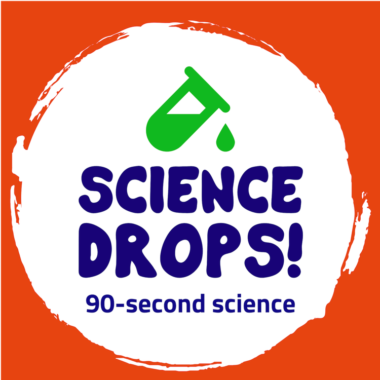 cover art for Why do dogs eat grass?