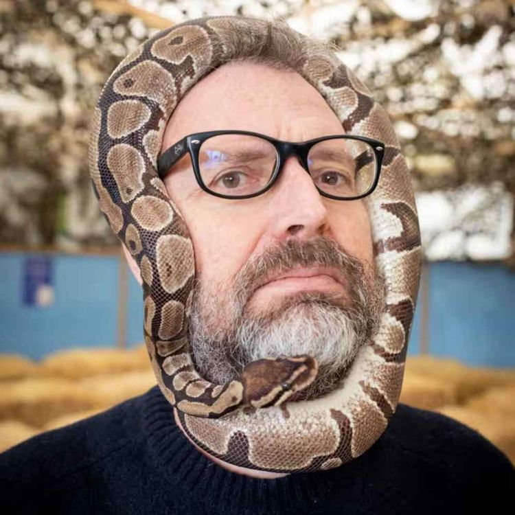 cover art for 327: Tim Dowling on marriage, ageing, WhatsApp and goose barnacles